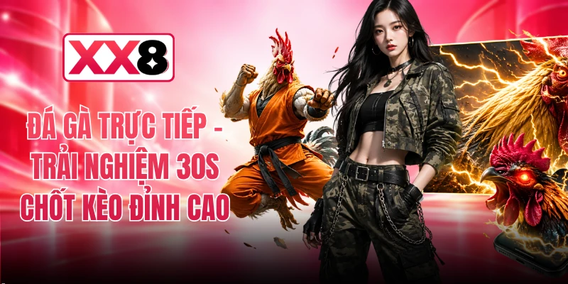 Đá Gà Trực Tiếp