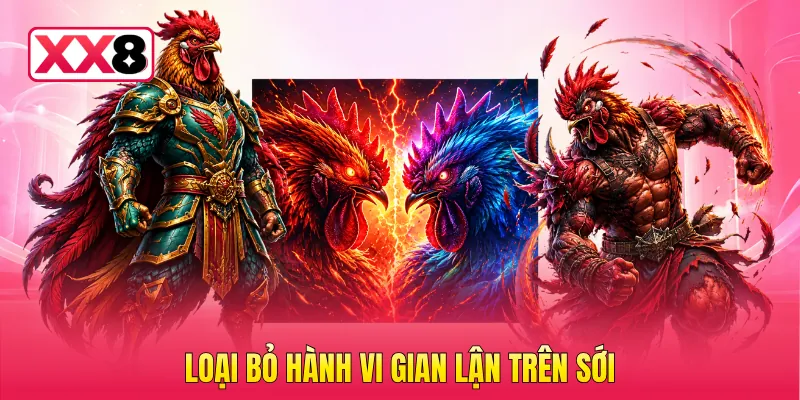 Loại bỏ hành vi gian lận trên sới