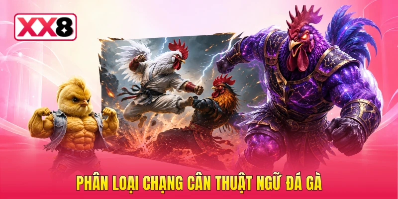 Phân loại chạng cân thuật ngữ đá gà